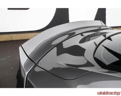Liberty Works Rear Wing - 0LBW-Mustang-FRP-WING