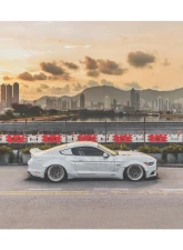 Liberty Works Rear Wing                                     - 0LBW-Mustang-FRP-WING - Image 11
