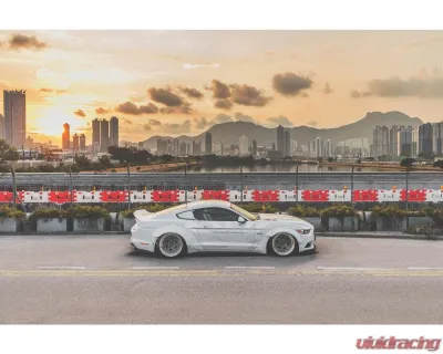 Liberty Works Rear Wing - 0LBW-Mustang-FRP-WING