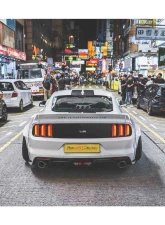 Liberty Works Rear Wing                                     - 0LBW-Mustang-FRP-WING - Image 13
