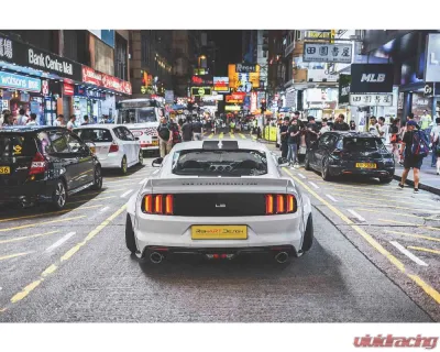 Liberty Works Rear Wing - 0LBW-Mustang-FRP-WING