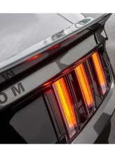 Liberty Works Rear Wing                                     - 0LBW-Mustang-FRP-WING - Image 4