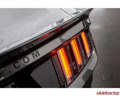 Liberty Works Rear Wing - 0LBW-Mustang-FRP-WING