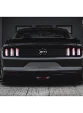 Liberty Works Rear Wing                                     - 0LBW-Mustang-FRP-WING - Image 6