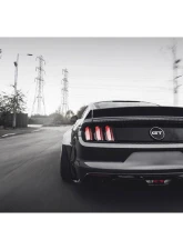 Liberty Works Rear Wing                                     - 0LBW-Mustang-FRP-WING - Image 8
