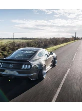 Liberty Works Rear Wing                                     - 0LBW-Mustang-FRP-WING - Image 9