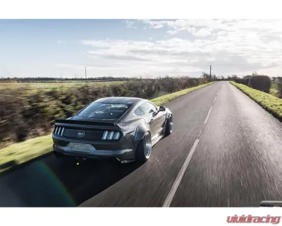 Liberty Works Rear Wing - 0LBW-Mustang-FRP-WING