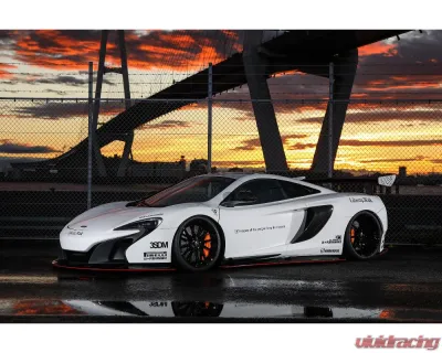 LIberty Walk Performance Complete Body Kit CFRP+ Dry Wing McLaren 650S 2015-2017 - LBW-650S-PBK-DC