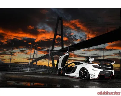 LIberty Walk Performance Complete Body Kit CFRP+ Dry Wing McLaren 650S 2015-2017 - LBW-650S-PBK-DC