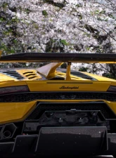 Liberty Walk Silhouette Dry Carbon Rear Engine Hood Lamborghini Huracan GT 2015+                                     - LW-HuracanGT-RHood-S-D - Image 4