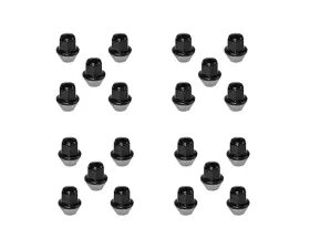 Ford Racing M12 x 1.5 Black Lug Nut - Set of 20  Ford Bronco Sport  |  Escape  | Fusion | EcoSport| Lincoln Corsair | MKZ 2015-2025