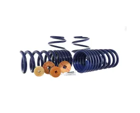 Ford Racing Track Lowering Spring Kit Ford Mustang 2015-2022