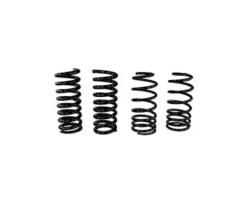 Ford Racing Spring Kit Front and Rear