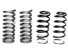 Ford Racing Spring Kit Front and Rear