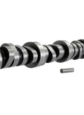 Ford Racing Hydraulic Roller Camshaft M-6250-E303 for 5.0L/302 Engines, .498 Valve Lift                                     - M-6250-E303 - Image 3