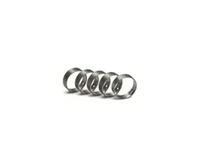 Ford Racing Camshaft Bearings