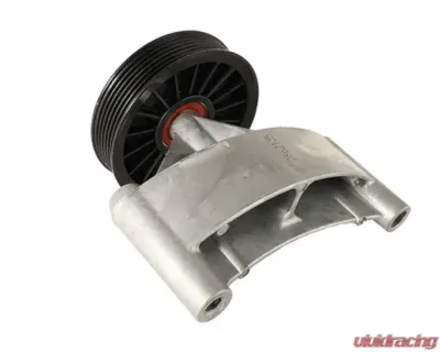 Ford Racing Competition Air Pump Idler Bracket - M-8604-A50
