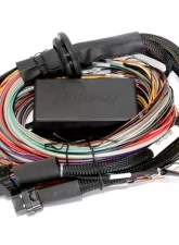 Haltech Elite 2500 w/ Premium Universal Wire-in Harness Kit Length: 2.5m (8')                                     - HT-151304 - Image 2