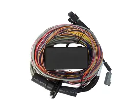 Haltech 2.5m Elite 750 Premium Universal Wire-In Harness