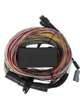 Haltech Elite 750 ECU w/ 8 inch Premium Universal Wire-In Harness Kit                                     - HT-150604 - Image 5