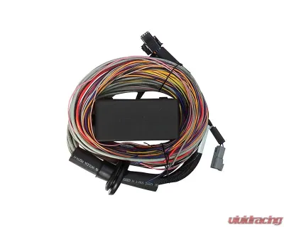 Haltech Elite 750 ECU w/ 8 inch Premium Universal Wire-In Harness Kit - HT-150604