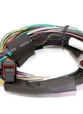 Haltech Elite 2500 + Basic Universal Wire-in Harness Kit Length: 2.5m (8')                                     - HT-151302 - Image 2