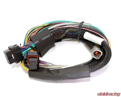 Haltech Elite 2500 + Basic Universal Wire-in Harness Kit Length: 2.5m (8') - HT-151302