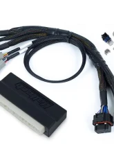 Haltech Plug 'n' Play Adapter Harness  Honda DC5 | Acura RSX | Nexus S2/S3                                     - HT-186342 - Image 2