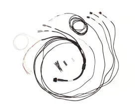 Haltech Semi Terminated Stand-Alone Harness For iC-7 Display Dash