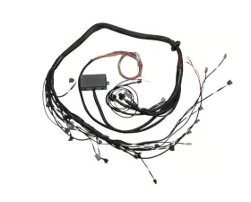 Haltech Elite 2000/2500 Terminated Engine Harness Toyota 2JZ
