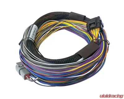 Haltech Elite 750 Basic Universal Wire-in Harness - HT-140602