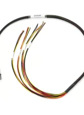 Haltech Elite 1500 w/ Flying Lead Ignition Terminated Harness Mazda 13B S4/5 CAS                                     - HT-140875 - Image 2