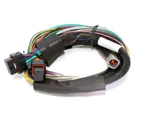 Haltech Elite 1500 Basic Universal Wire-in Harness