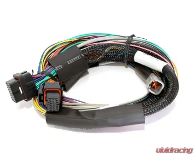 Haltech Elite 1500 Basic Universal Wire-in Harness - HT-140902