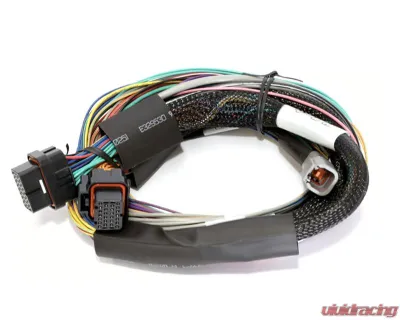 Haltech Elite 2500 & 2500 T Basic Universal Wire-in Harness 2.5m - HT-141302