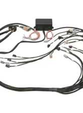 Haltech Elite 2000/2500 Non DBW Terminated Harness GM GEN III LS1 & LS6                                     - HT-141360 - Image 4