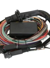 Haltech Elite 1500 Premium w/ Universal Wire-in Harness Kit 2.8m                                     - HT-150904 - Image 5