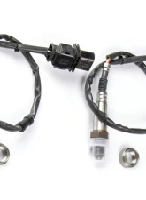 Haltech WB2 Bosch - Dual Channel CAN O2 Wideband Controller Kit                                     - HT-159986 - Image 4