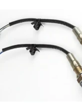 Haltech WB2 NTK - Dual Channel CAN O2 Wideband Controller Kit                                     - HT-159988 - Image 3