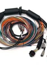 Haltech Universal Wire-in Harness - 2.5m (8') Nexus R3                                     - HT-183200 - Image 2