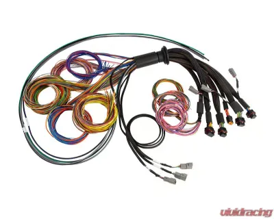Haltech NEXUS R5 Universal Wire-In harness - HT-185200
