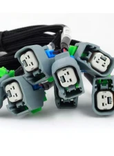 Haltech Nexus V8 GT150 (USCAR) Injector Primary Breakout Universal                                     - HT-186002 - Image 3