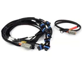 Haltech Nexus V8 - IGN-1A Ford Harness Universal