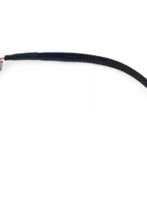 Haltech Nexus LS 2 Pin Bosch Alternator Harness                                     - HT-186123 - Image 2