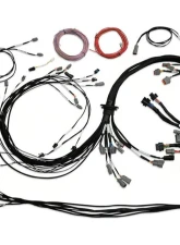 Haltech V8 Terminated Engine Harness Nexus R5 VCU Universal                                     - HT-186200 - Image 2