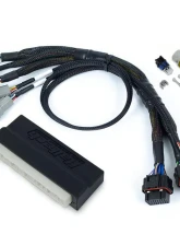 Haltech Plug 'n' Play Adapter Harness Nexus S2/S3 Honda EP3 2002-2005                                     - HT-186343 - Image 2