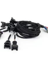 Haltech EV1 Injector Sub-Harnes Nexus Rebel LS                                     - HT-186501 - Image 2