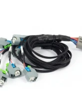 Haltech EV6 Injector Sub-Harness Nexus Rebel LS                                     - HT-186502 - Image 2
