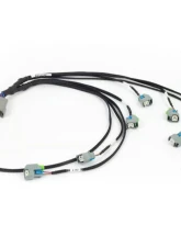 Haltech EV6 Injector Sub-Harness Nexus Rebel LS                                     - HT-186502 - Image 2