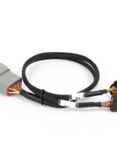 Haltech Cable Throttle w/ IAC sub-harness Nexus Rebel LS                                     - HT-186504 - Image 2